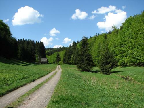 Hostal Gasthaus Zum B�ren
