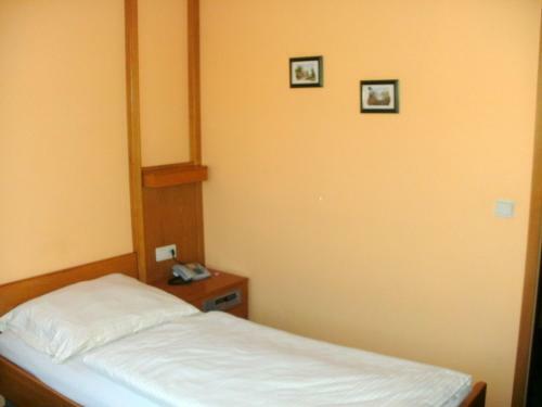 Hostal Gasthof Landhotel Gr�ner Baum