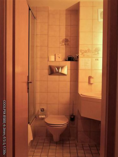 Hostal Gasthof Landhotel Gr�ner Baum