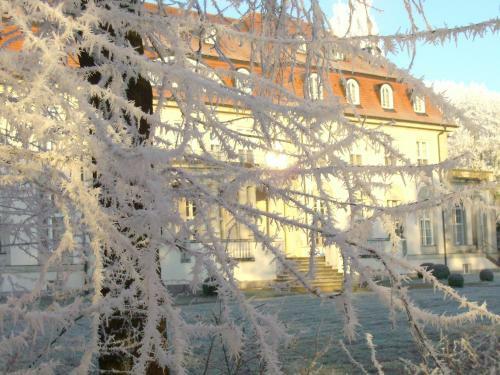 Hotel Schloss Storkau