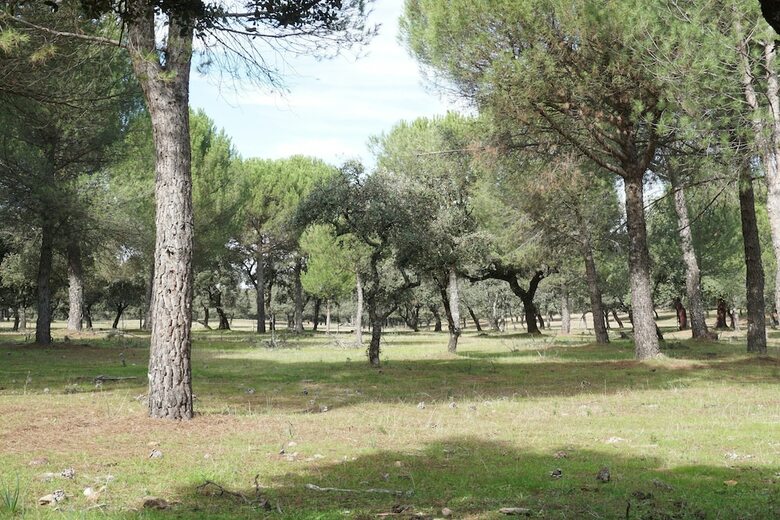 Agroturismo San Jos�