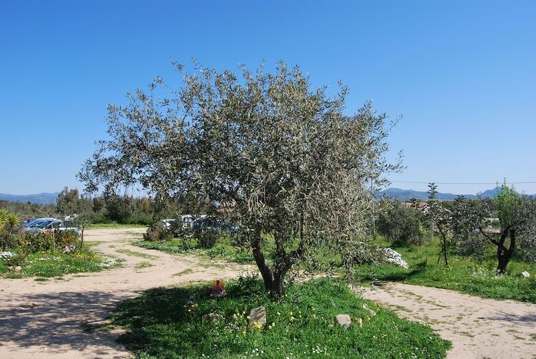 Hotel Casa Per Ferie Villaggio Carovana