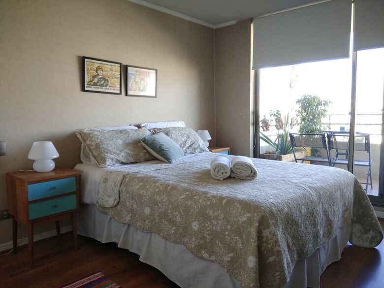 Central Apartment Providencia