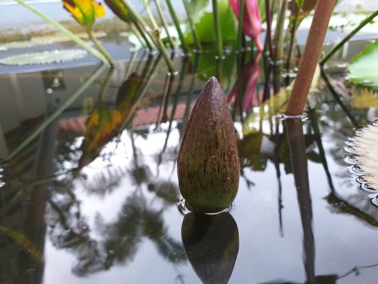 Hotel Anuhas Airport Villas