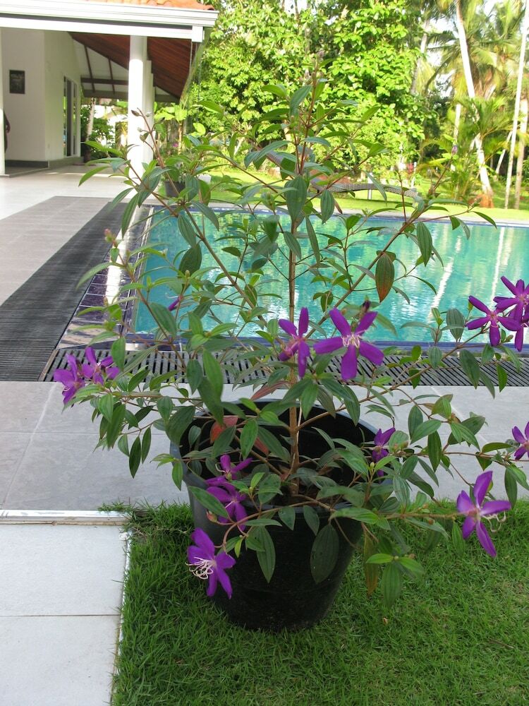 Hotel Anuhas Airport Villas