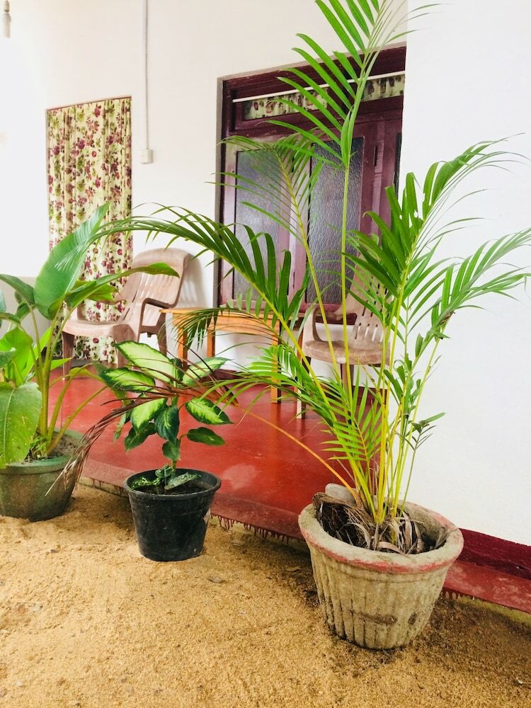 Bed & Breakfast Tropicana Homestay