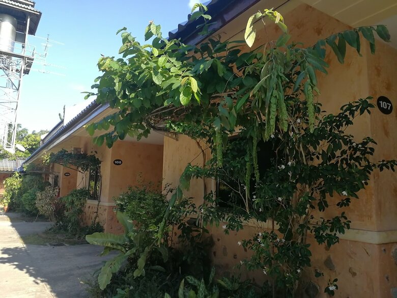 Hotel Palm Chalet Resort