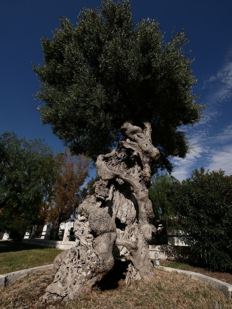 Agroturismo Masseria Maccarone