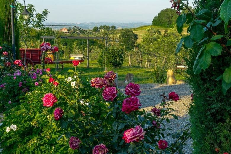Agroturismo Agriturismo I Colli