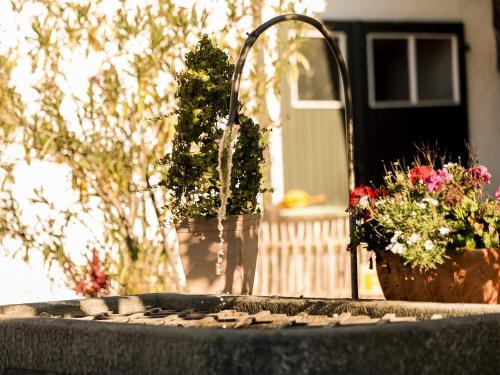 Landhotel Gasthof Forstner