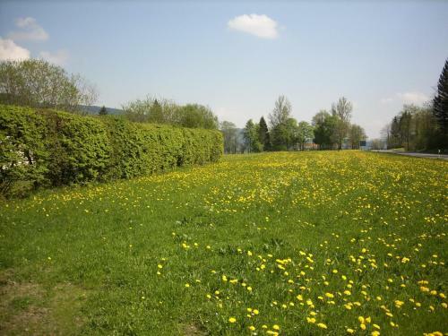 Hostal Gasthof J�gerhaus
