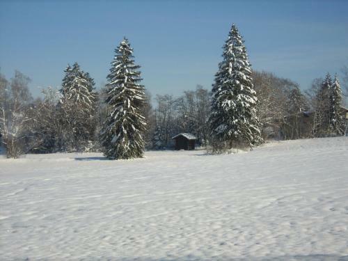 Hostal Gasthof J�gerhaus