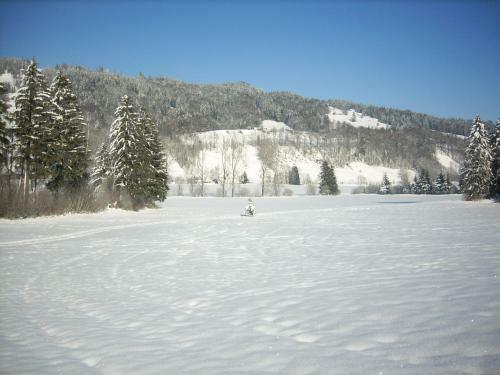 Hostal Gasthof J�gerhaus