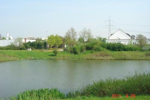 Hotel Zur Linde