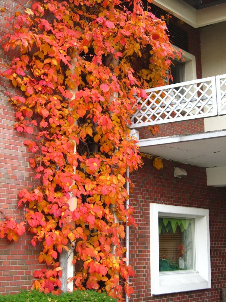Hotel Shirakabaso Shiga Kogen