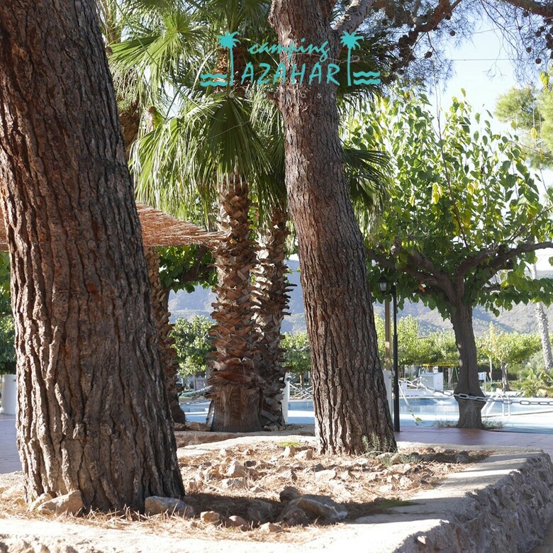 Camping Azahar
