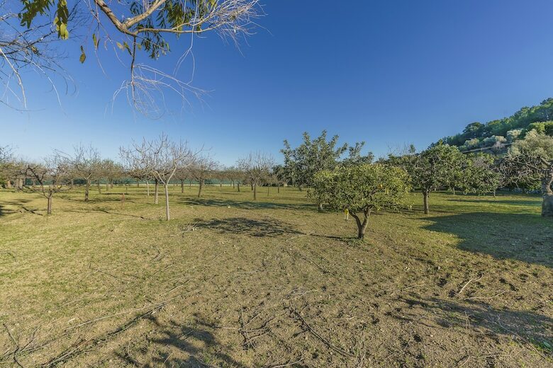 Villa Finca Can Moreu