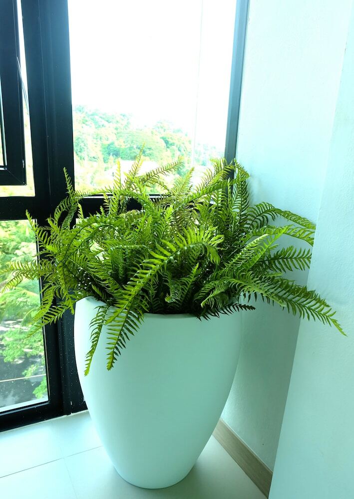 Montana Hotel