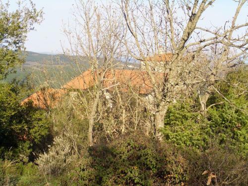Villa Ariadne Eco Retreat