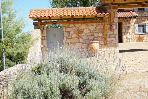 Villa Ariadne Eco Retreat