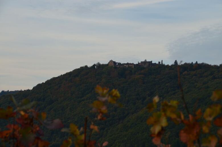Hotel & Restaurant Castell