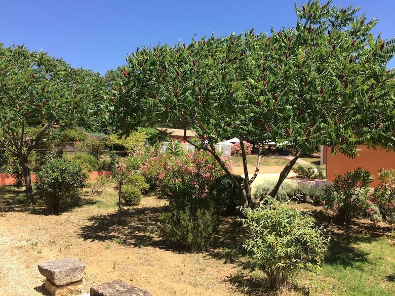 Hotel H�tel Les Ambres