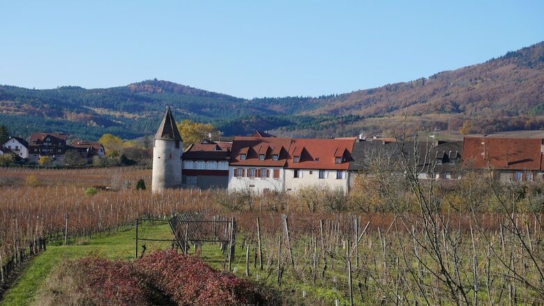 Hotel La Cour St-fulrad
