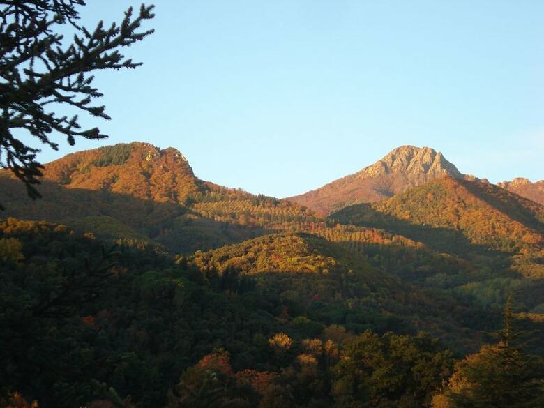 Villa Bellavista Casasmontseny - Costa Brava