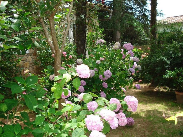 Villa Bellavista Casasmontseny - Costa Brava