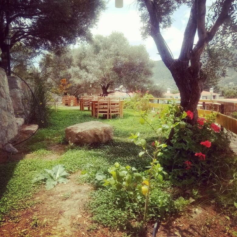 Bed & Breakfast Ipekce Tatil Evleri