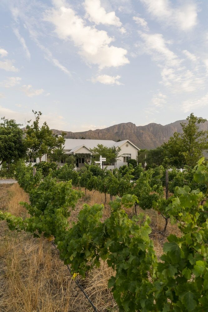 Hotel Cape Vue Country House