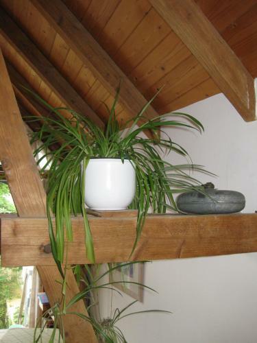 Apartments Bed & Breakfast Br�ckner