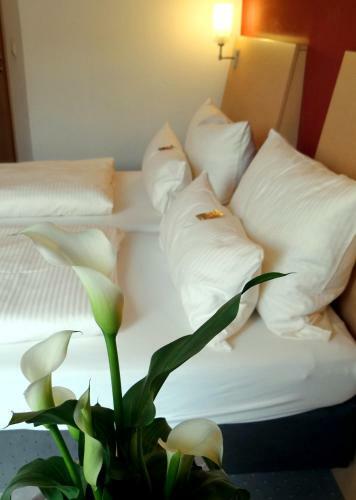 Hotel Mainpromenade ***s