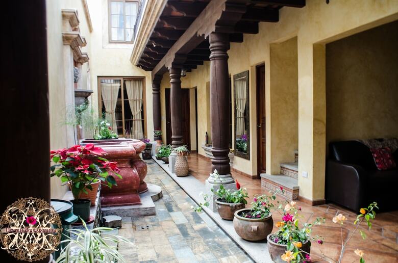 Bed & Breakfast Central Bougainvillea