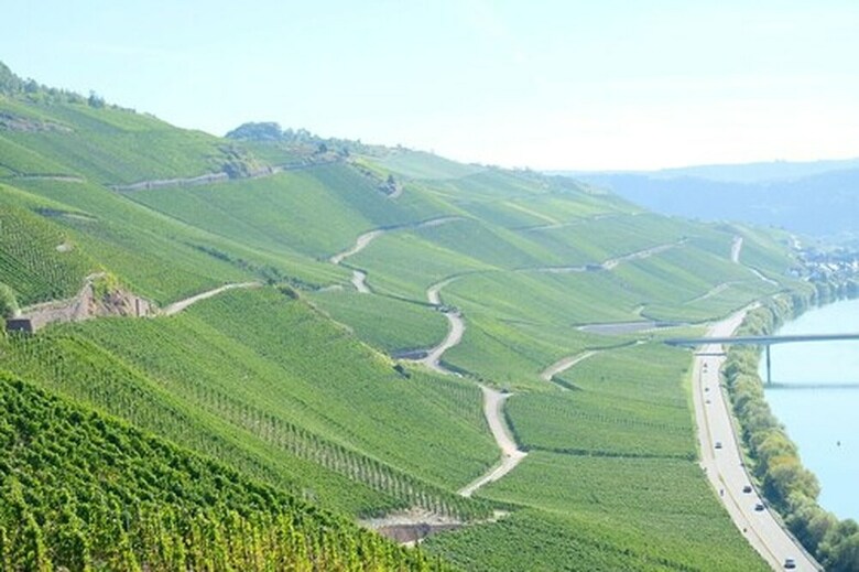 Hotel Weingut & G�stehaus Kaufmann-schneider