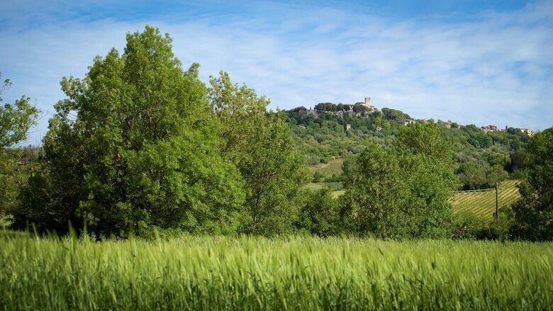 B & B 8380 - Pian Del Molino
