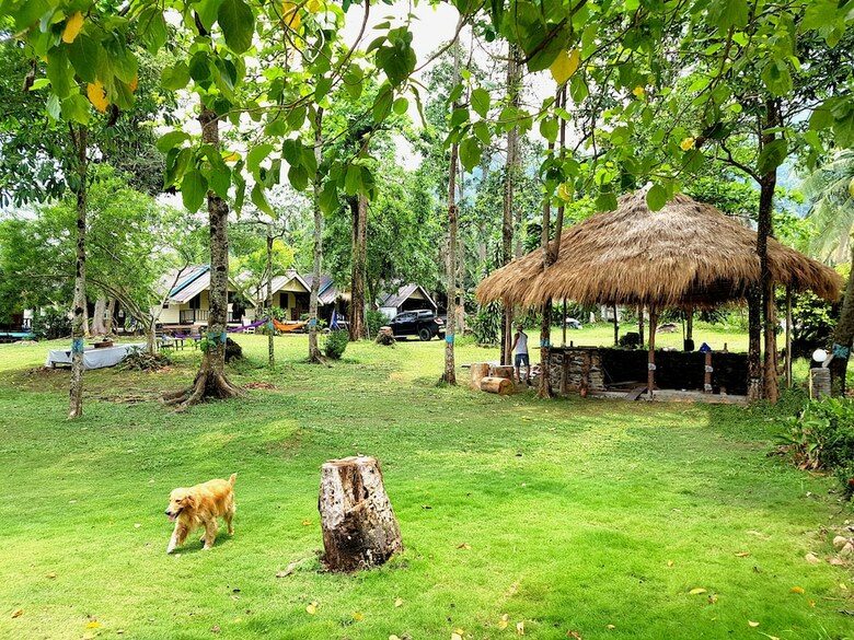 Hotel Bay Yard Hut