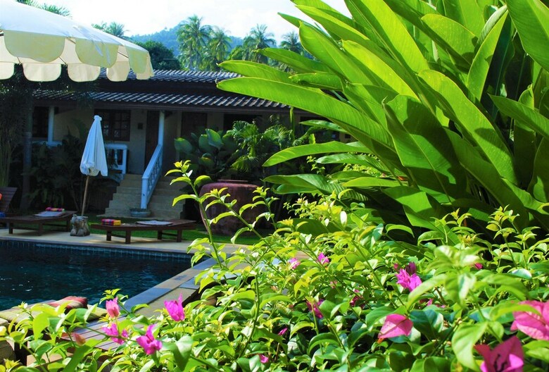 Hotel Visit Natural Detox Resort