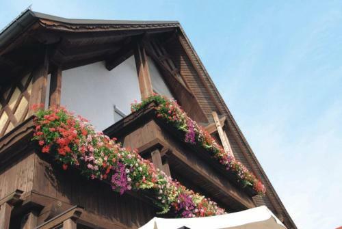 Hostal Gasthaus Zur Traube