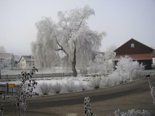 Hotel Gasthaus Zur Waldesruh