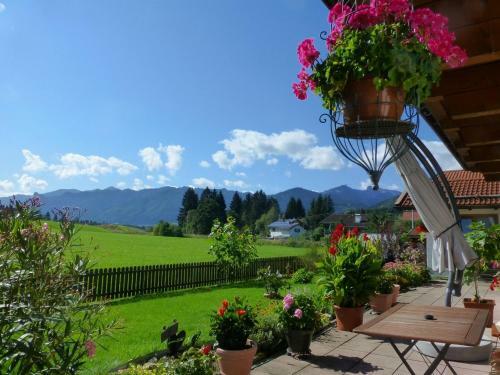 Blissful Apartment In Altenau With Patio