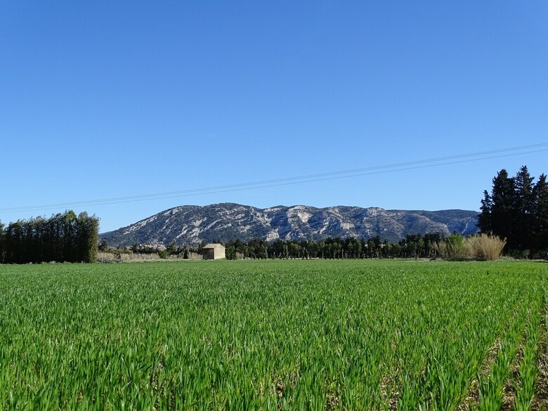 Hotel La Louvi�re Des Bruy�res
