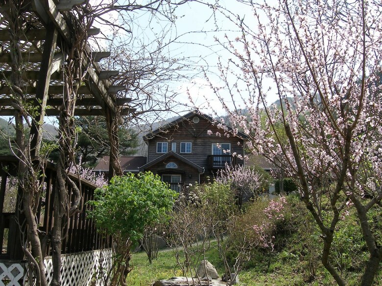 Fairy Tale Pension