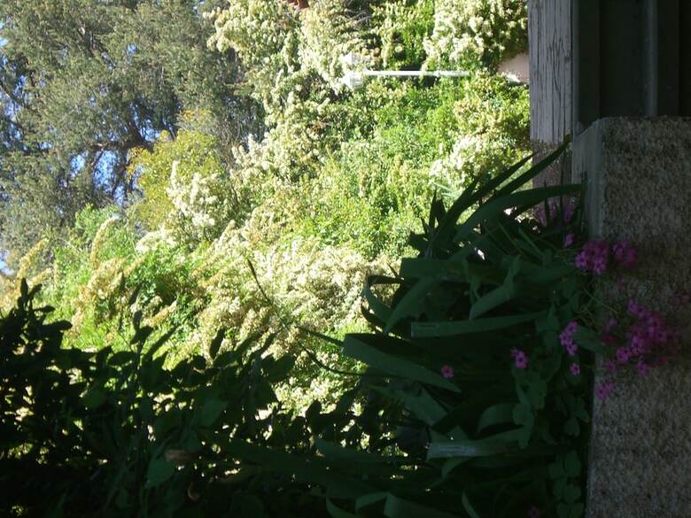 Apartamento R�sidence Sainte Annette