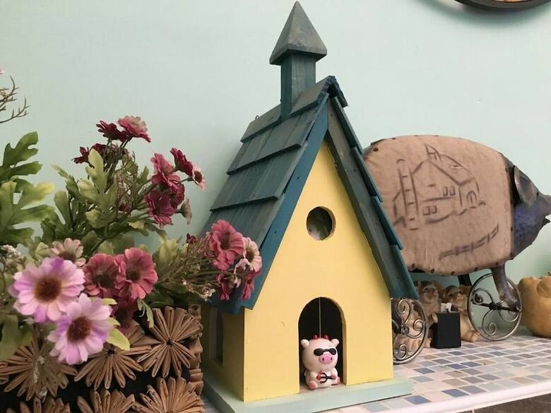 Bed & Breakfast Pig House I