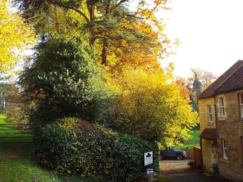Meadowbrook Cottage B&B
