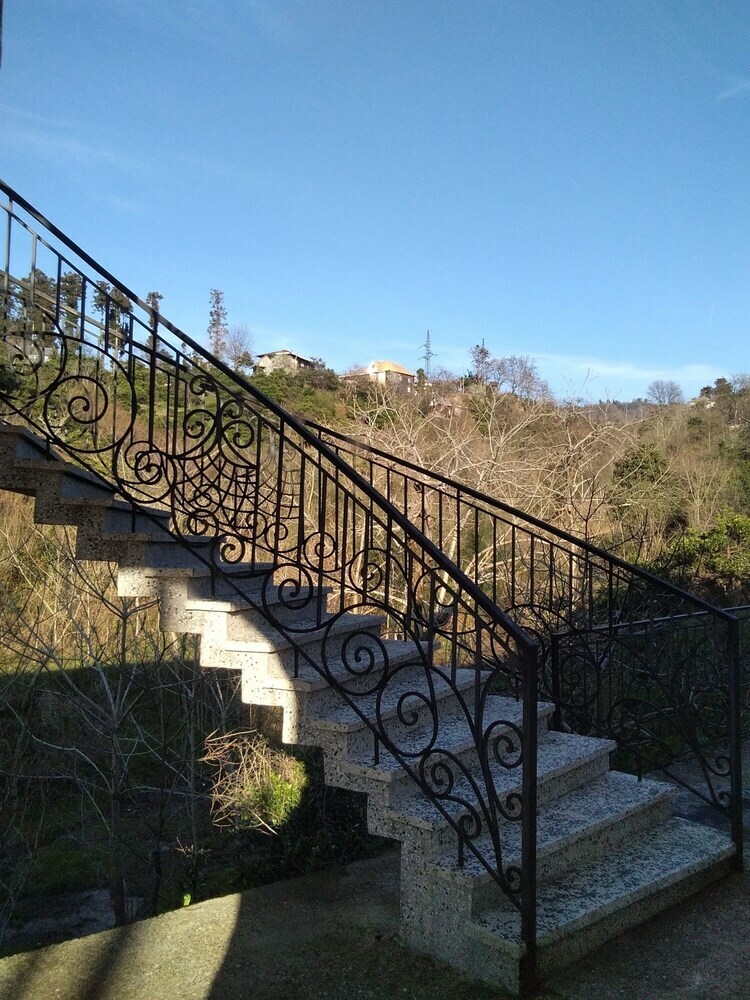 Hotel White Guest House