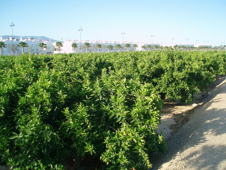 Agroturismo Casa Rurales Ventaseca