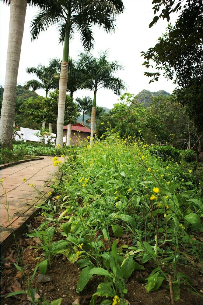 Hotel Long Phuong Homestay