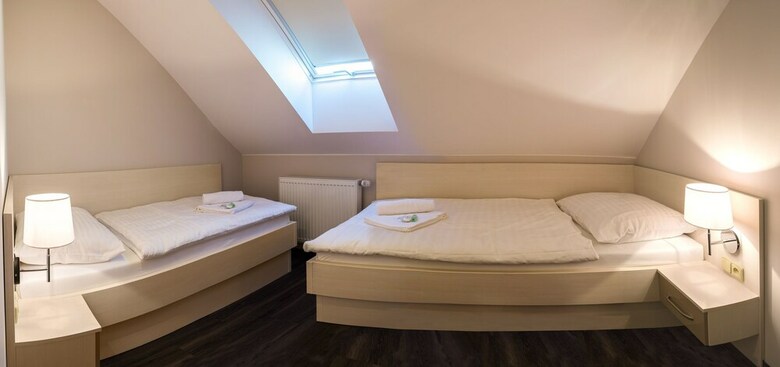 Pension Penzion Longus